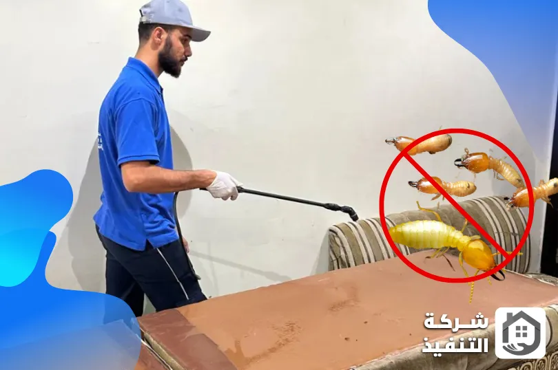 شركة مكافحة النمل الابيض بالرياض شركة مكافحة النمل الابيض بالرياض