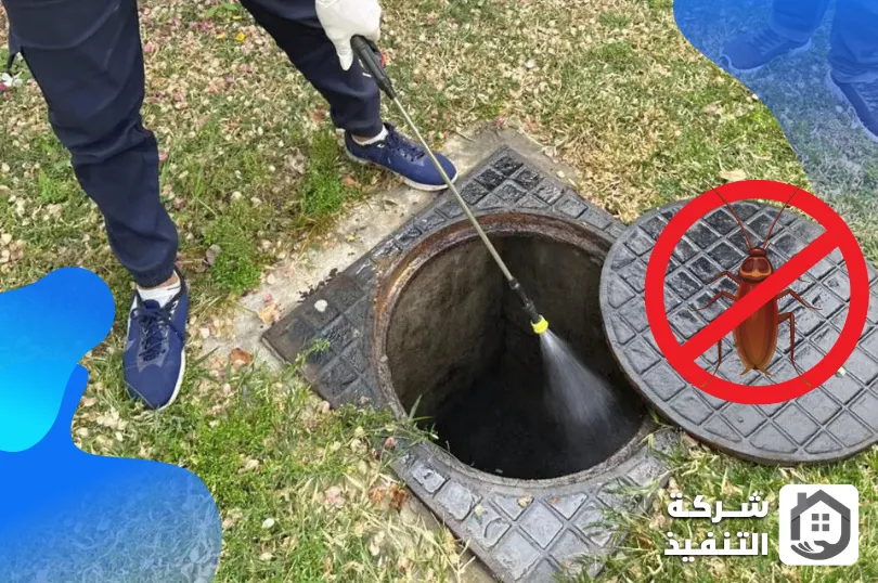 شركة مكافحة الصراصير بالرياض شركة مكافحة الصراصير بالرياض