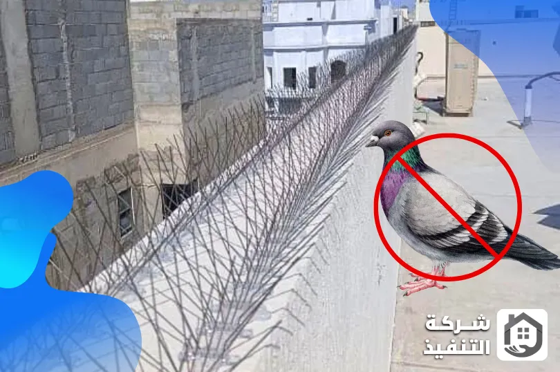 شركة تركيب طارد الحمام بالرياض شركة تركيب طارد الحمام بالرياض