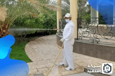 شركة مكافحة حشرات بالدمام
