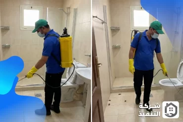 شركة رش مبيدات بالدمام
