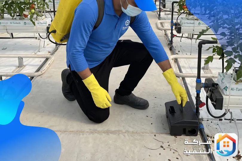 مميزات افضل شركة مكافحة الفئران بالرياض مميزات افضل شركة مكافحة الفئران بالرياض