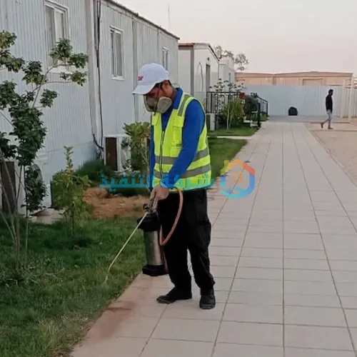 أفضل شركة مكافحة حشرات مضمونة بالرياض