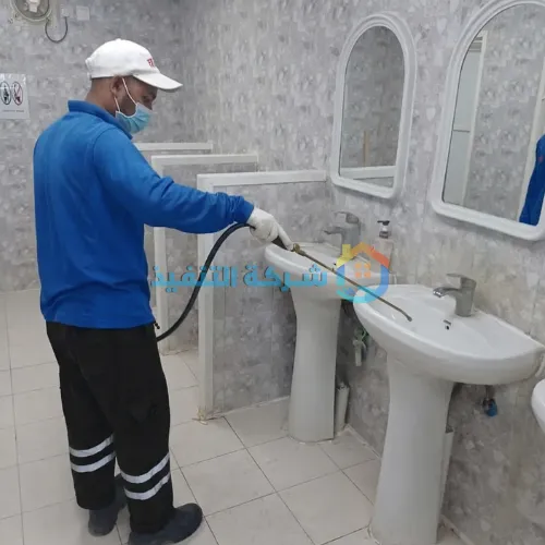 أهمية استئجار شركة رش مبيدات بالرياض