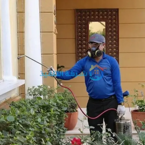 افضل شركة مكافحة حشرات بالرياض