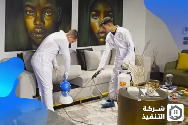 شركة مكافحة حشرات بمكة