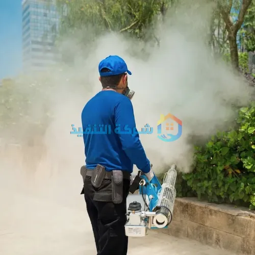 شركة مكافحة حشرات جنوب الرياض