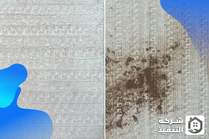 شركة تنظيف سجاد بجدة 3 طريقة عمل شركة تنظيف سجاد بجدة وخطوات الغسيل الصحيحة