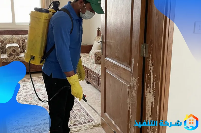 شركة مكافحة النمل الابيض بمكة 2 ارخص شركة مكافحة النمل الابيض بمكة
