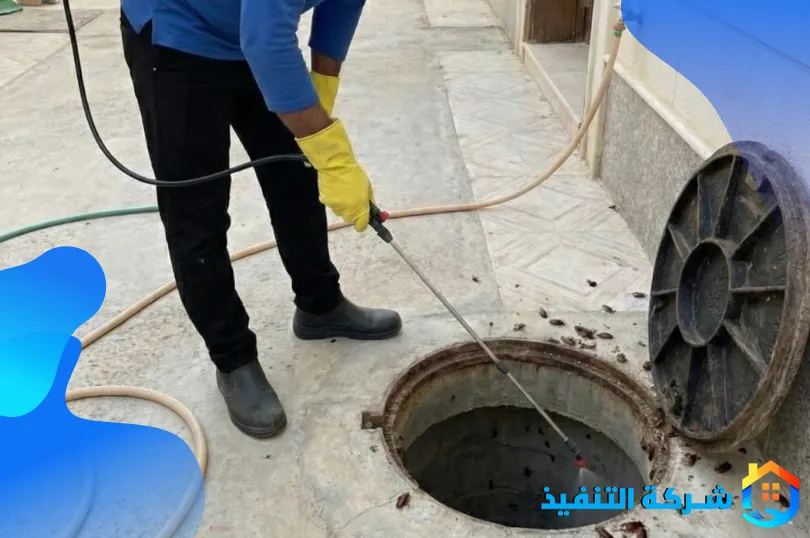 شركة مكافحة الصراصير بجدة 3 افضل شركة مكافحة الصراصير بجدة