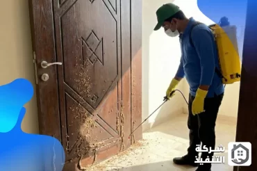 شركة مكافحة النمل الابيض بمكة