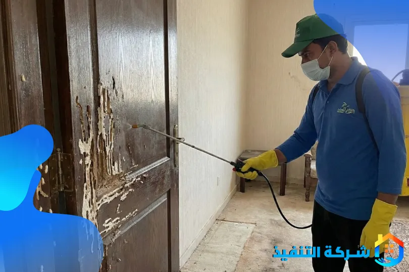 شركة مكافحة النمل الابيض بمكة 3 خدمات مكافحة النمل الابيض بمكة