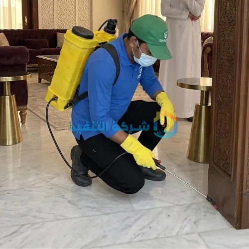 فيلا في الرياض — مكافحة النمل الأبيض