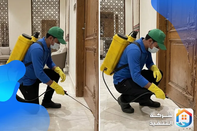 6 علامات تكشف إصابة منزلك بالنمل الأبيض (ومتى تتصل بالمختص فوراً)