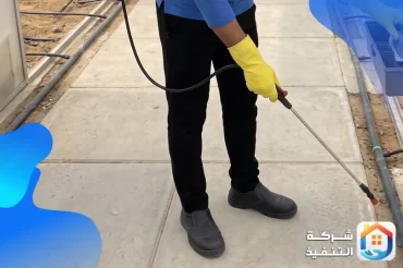 أفضل طرق مكافحة الفئران في الحوش والحديقة دون خطر على الأطفال والحيوانات الأليفة