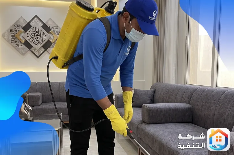 كيف تمنع دخول الفئران إلى منزلك؟ خطوات وقائية ومتى تحتاج لمختص كيف تمنع دخول الفئران إلى منزلك؟ خطوات وقائية ومتى تحتاج لمختص