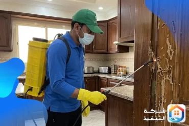 ما الذي يجب أن يتضمّنه عقد وضمان مكافحة النمل الأبيض؟