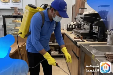 مكافحة الصراصير الألمانية في المطاعم والمقاهي: حلول اشتراطات البلدية