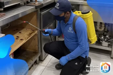 كم تكلفة مكافحة الفئران والقوارض في السعودية؟