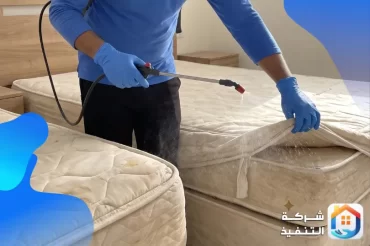 كم يكلّف القضاء على الصراصير وبق الفراش؟ دليل التكلفة والعوامل المؤثرة